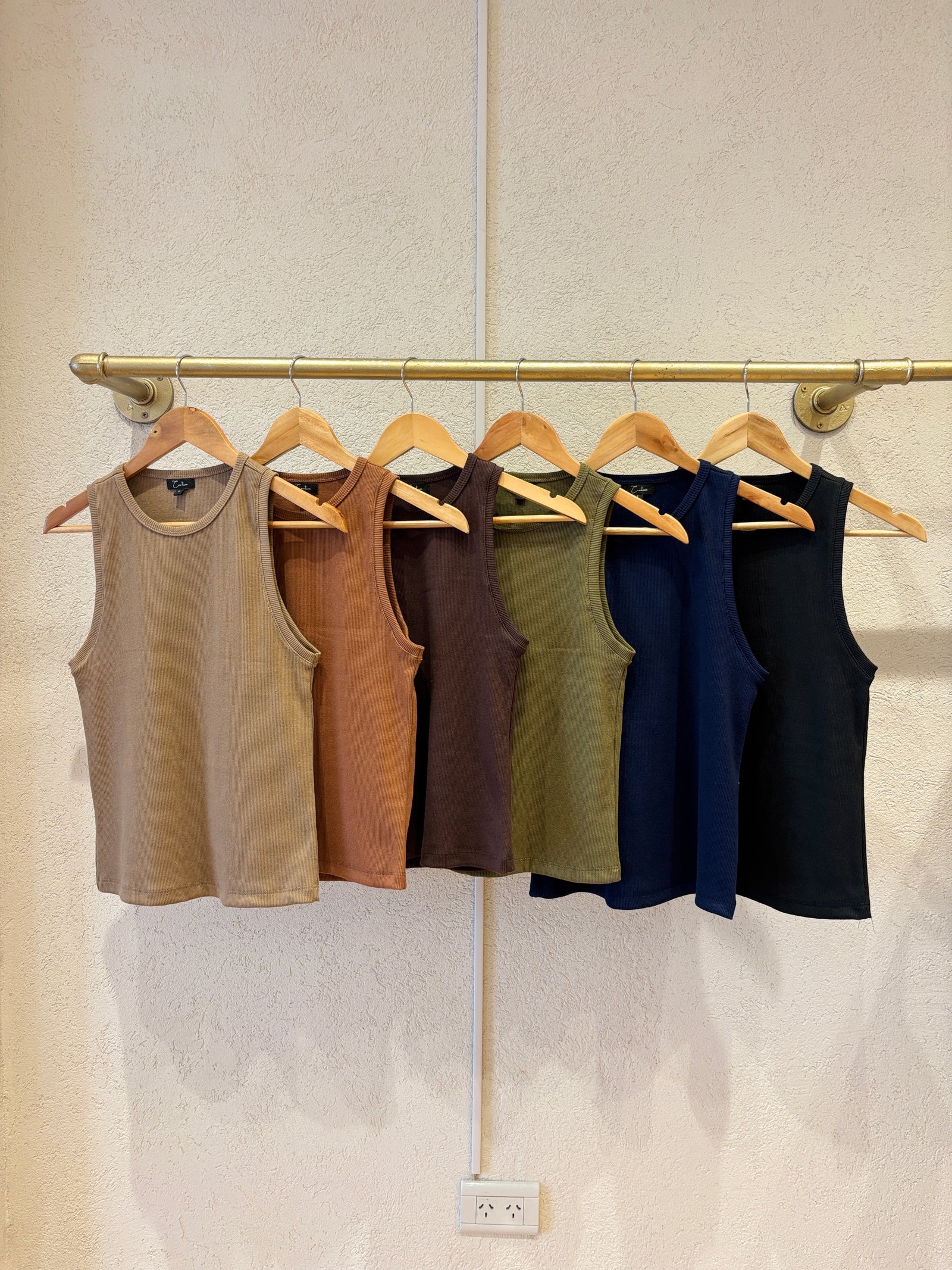 Musculosa Liberum